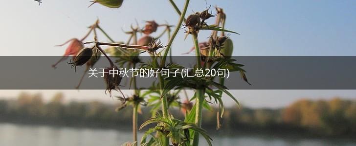 关于中秋节的好句子(汇总20句),第1张
