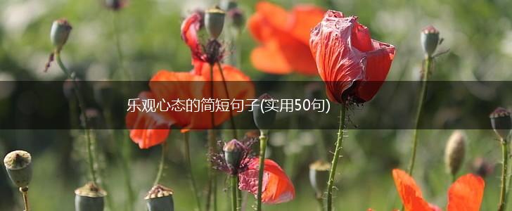 乐观心态的简短句子(实用50句),第1张
