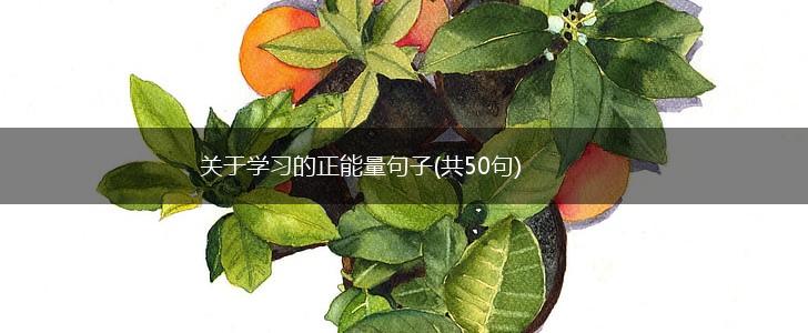 关于学习的正能量句子(共50句),第1张