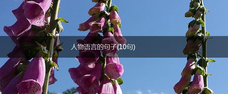 人物语言的句子(10句),第1张