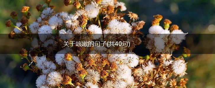 关于咳嗽的句子(共40句),第1张