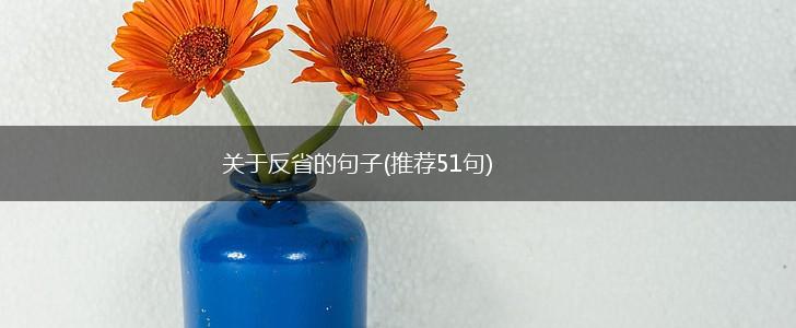 关于反省的句子(推荐51句),第1张