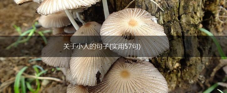 关于小人的句子(实用57句),第1张