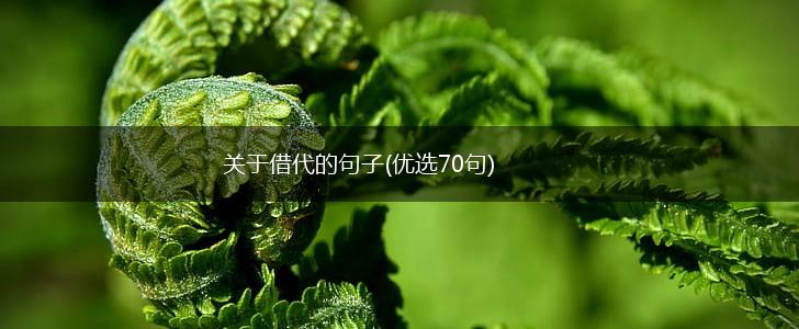 关于借代的句子(优选70句),第1张