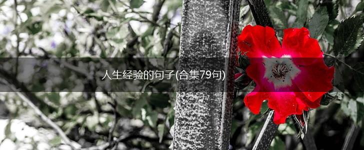 人生经验的句子(合集79句),第1张