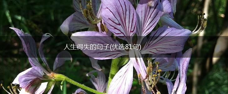 人生得失的句子(优选81句),第1张