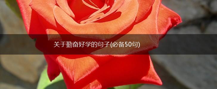 关于勤奋好学的句子(必备50句),第1张