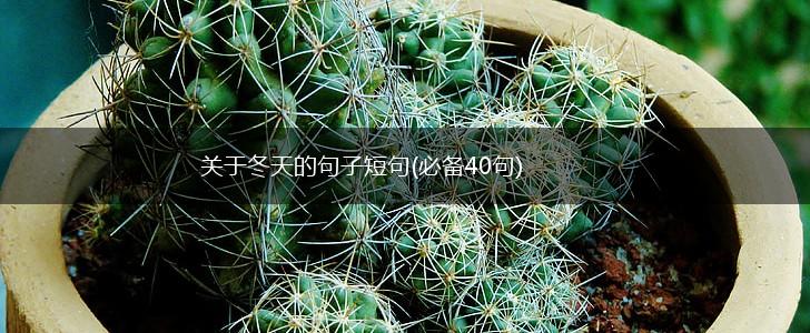 关于冬天的句子短句(必备40句),第1张