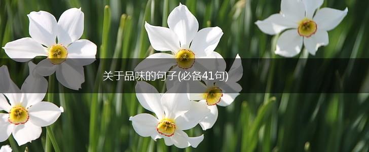 关于品味的句子(必备41句),第1张