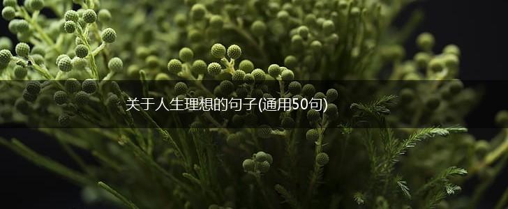 关于人生理想的句子(通用50句),第1张
