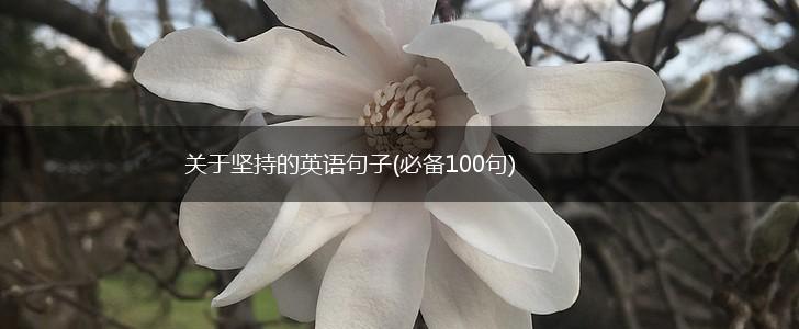 关于坚持的英语句子(必备100句),第1张