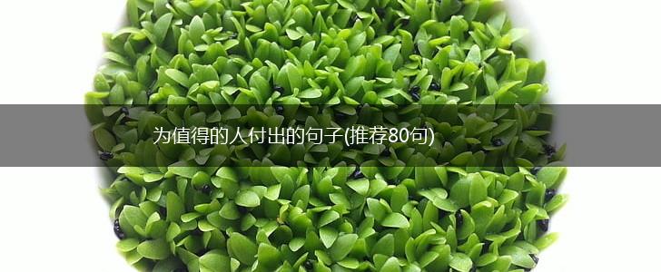 为值得的人付出的句子(推荐80句),第1张