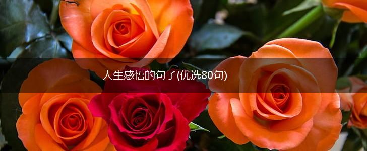 人生感悟的句子(优选80句),第1张