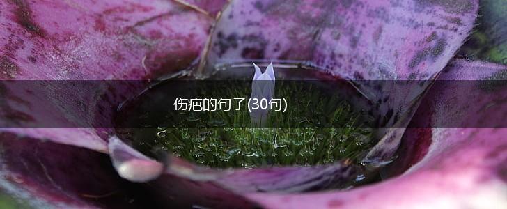 伤疤的句子(30句),第1张
