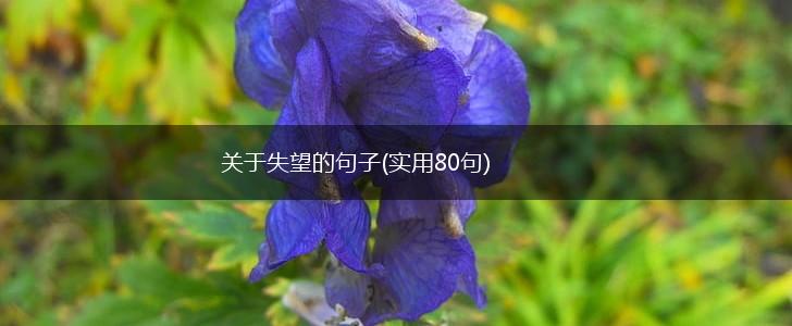 关于失望的句子(实用80句),第1张