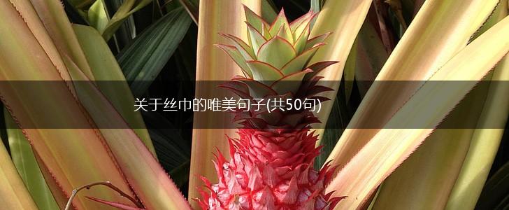 关于丝巾的唯美句子(共50句),第1张