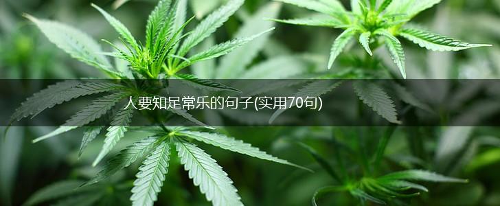 人要知足常乐的句子(实用70句),第1张