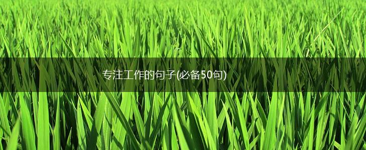 专注工作的句子(必备50句),第1张