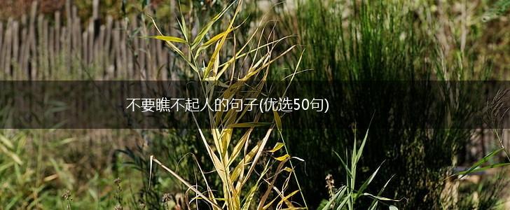 不要瞧不起人的句子(优选50句),第1张