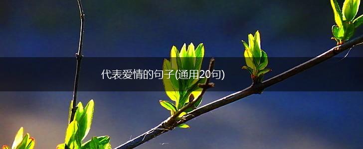 代表爱情的句子(通用20句),第1张
