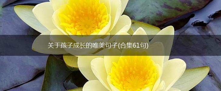 关于孩子成长的唯美句子(合集61句),第1张