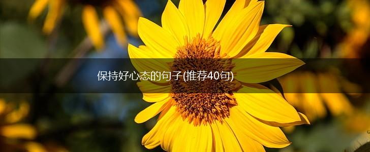 保持好心态的句子(推荐40句),第1张