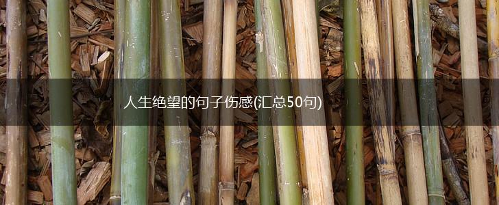 人生绝望的句子伤感(汇总50句),第1张