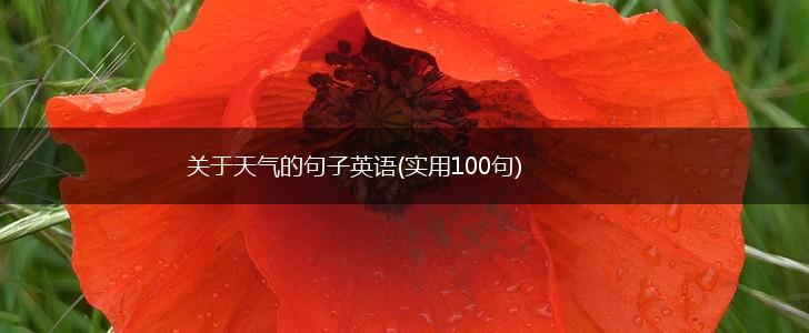 关于天气的句子英语(实用100句),第1张