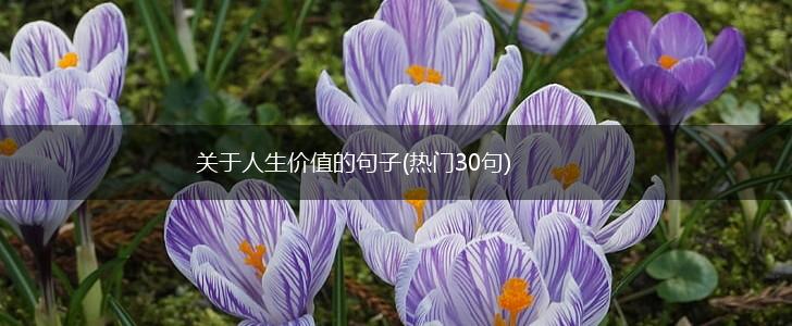 关于人生价值的句子(热门30句),第1张