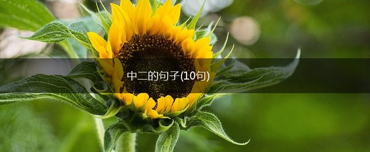 中二的句子(10句),第1张