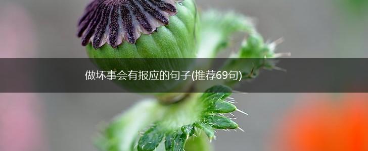做坏事会有报应的句子(推荐69句),第1张