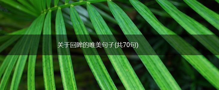 关于回眸的唯美句子(共70句),第1张