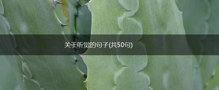 关于听觉的句子(共50句),第1张