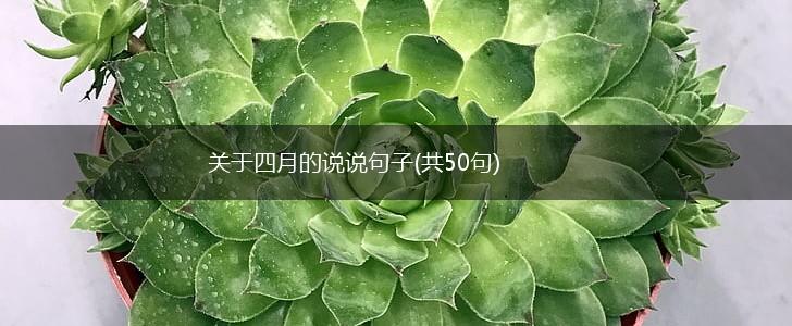 关于四月的说说句子(共50句),第1张