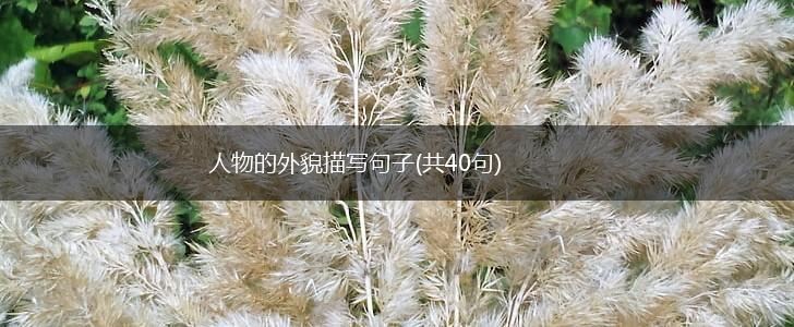 人物的外貌描写句子(共40句),第1张