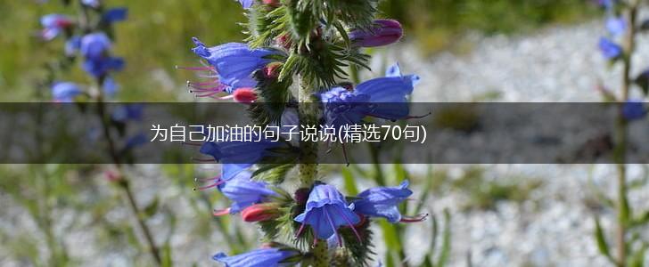 为自己加油的句子说说(精选70句),第1张