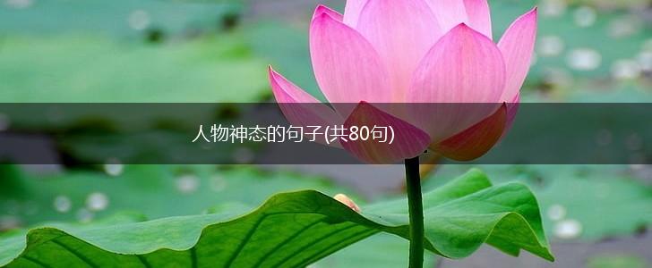 人物神态的句子(共80句),第1张