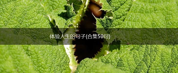 体验人生的句子(合集50句),第1张