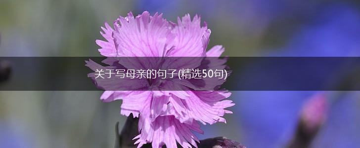 关于写母亲的句子(精选50句),第1张