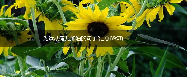 为运动健儿加油的句子(汇总69句),第1张