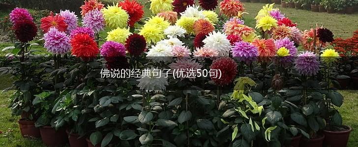 佛说的经典句子(优选50句),第1张