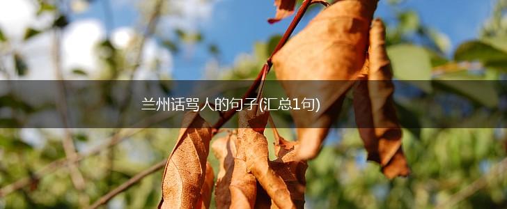 兰州话骂人的句子(汇总1句),第1张