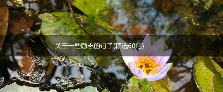 关于一些励志的句子(精选60句),第1张