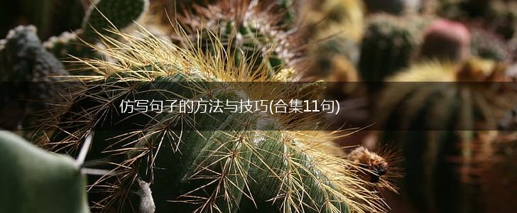 仿写句子的方法与技巧(合集11句),第1张
