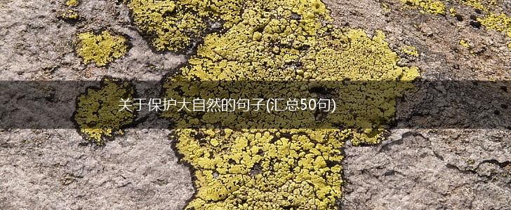 关于保护大自然的句子(汇总50句),第1张