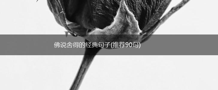 佛说舍得的经典句子(推荐90句),第1张