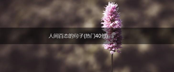 人间百态的句子(热门40句),第1张