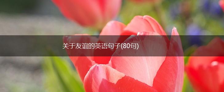 关于友谊的英语句子(80句),第1张