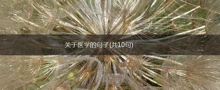 关于医学的句子(共10句),第1张