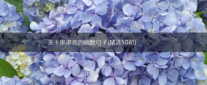 关于串串香的幽默句子(精选50句),第1张